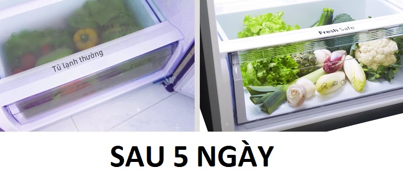 Ngăn rau của chuyên dụng Fresh Safe cho rau củ tươi ngon như mới