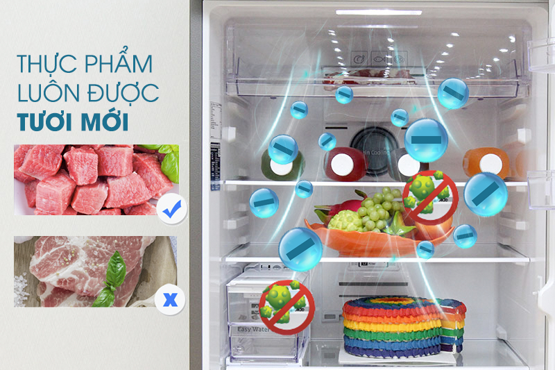 Tủ lạnh Samsung 380 lít RT38K5982SL/SV